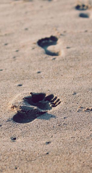 Do-in, la voie de l'énergie