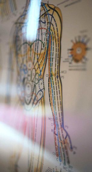 Do-in, une hygiène de vie